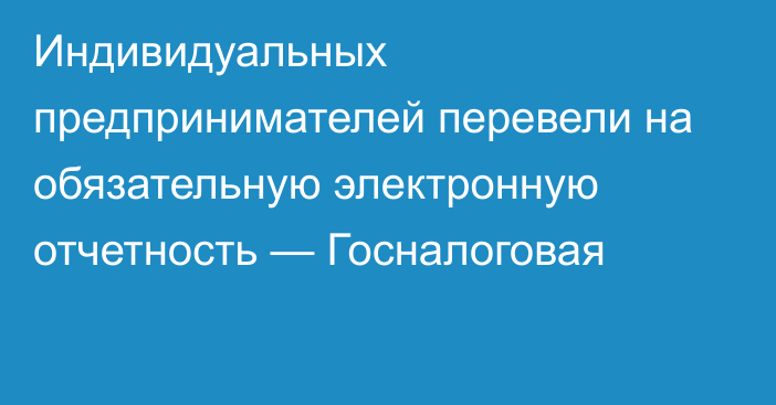 Индивидуальных предпринимателей перевели на обязательную электронную отчетность — Госналоговая