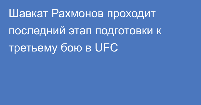Шавкат Рахмонов проходит последний этап подготовки к третьему бою в UFC