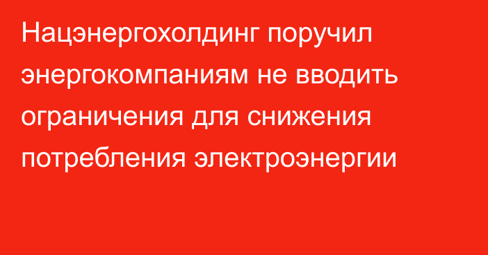 Нацэнергохолдинг поручил энергокомпаниям не вводить ограничения для снижения потребления электроэнергии