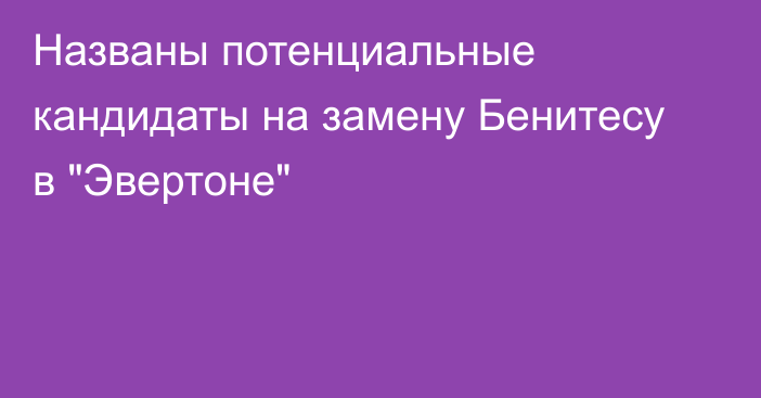 Названы потенциальные кандидаты на замену Бенитесу в 