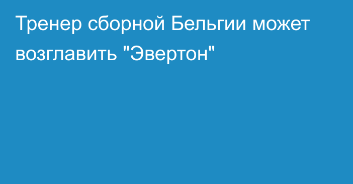 Тренер сборной Бельгии может возглавить 