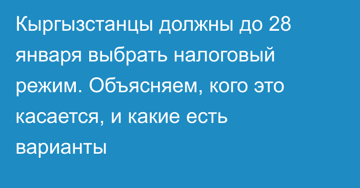 Кыргызстанцы должны до 28 января выбрать налоговый режим. Объясняем, кого это касается, и какие есть варианты