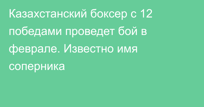 Казахстанский боксер с 12 победами проведет бой в феврале. Известно имя соперника