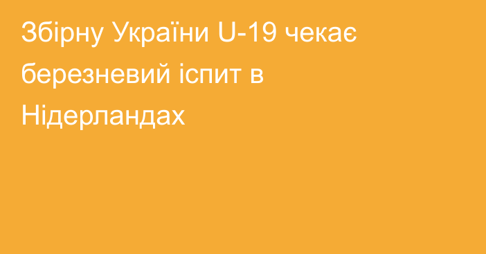 Збірну України U-19 чекає березневий іспит в Нідерландах