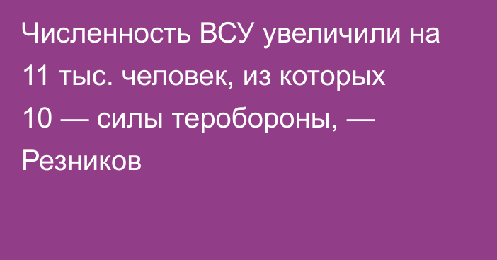 Численность ВСУ увеличили на 11 тыс. человек, из которых 10 — силы теробороны, — Резников