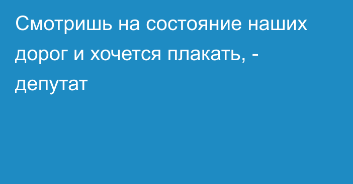 Смотришь на состояние наших дорог и хочется плакать, - депутат