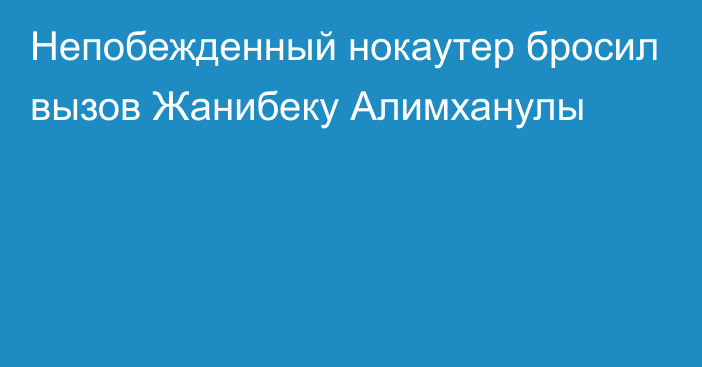 Непобежденный нокаутер бросил вызов Жанибеку Алимханулы