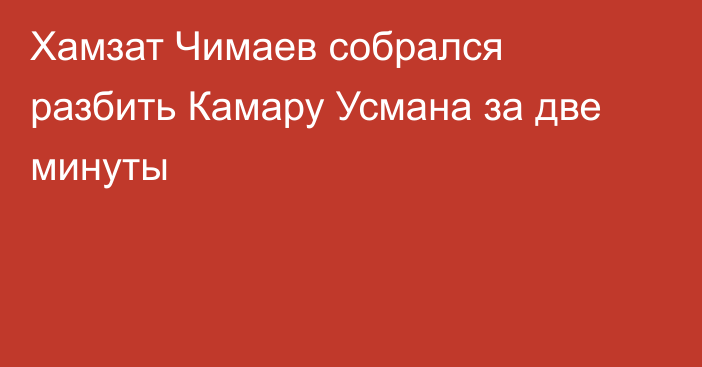 Хамзат Чимаев собрался разбить Камару Усмана за две минуты