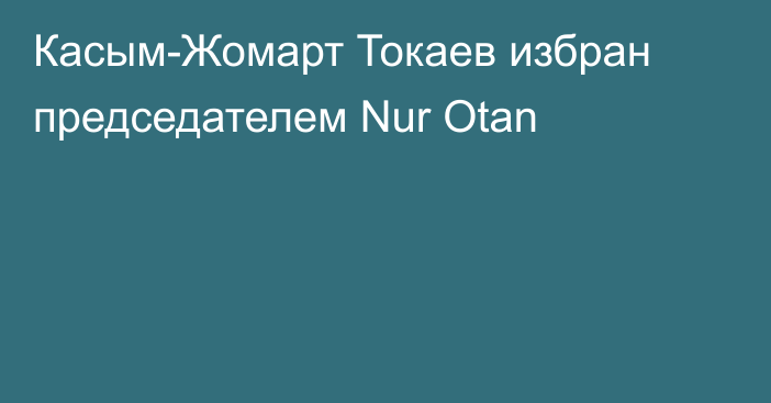 Касым-Жомарт Токаев избран председателем Nur Otan
