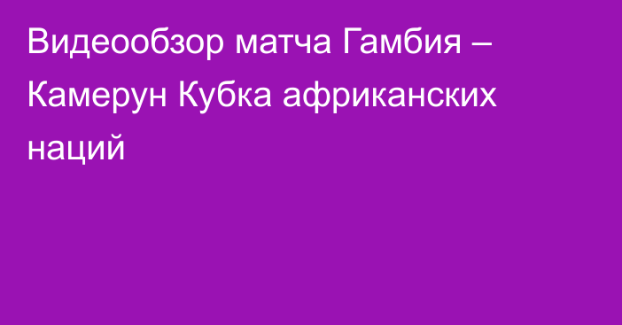 Видеообзор матча Гамбия – Камерун Кубка африканских наций