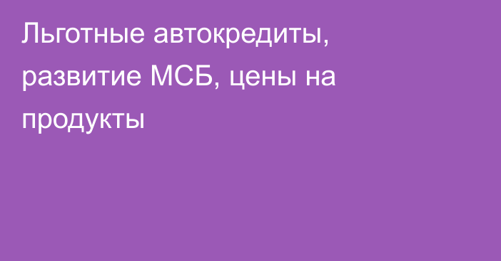 Льготные автокредиты, развитие МСБ, цены на продукты