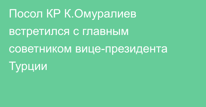 Посол КР К.Омуралиев встретился с главным советником вице-президента Турции