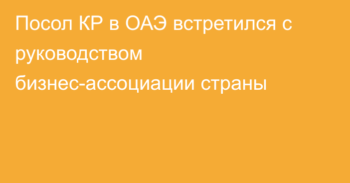 Посол КР в ОАЭ встретился с руководством бизнес-ассоциации страны