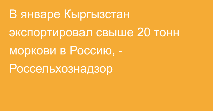 В январе Кыргызстан экспортировал свыше 20 тонн моркови в Россию, - Россельхознадзор