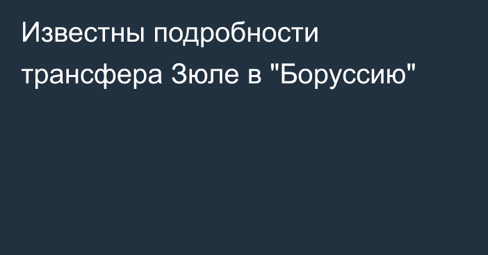 Известны подробности трансфера Зюле в 