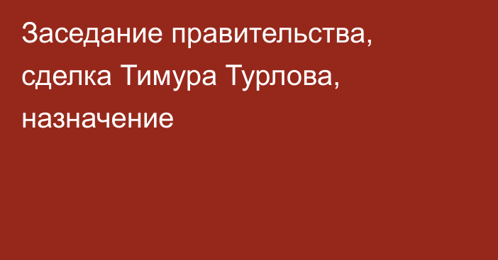 Заседание правительства, сделка Тимура Турлова, назначение