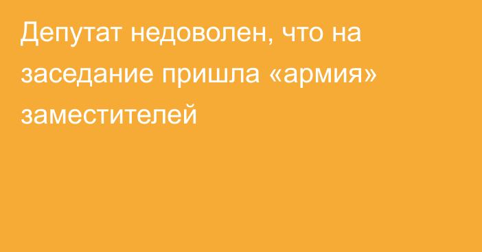 Депутат недоволен, что на заседание пришла «армия» заместителей