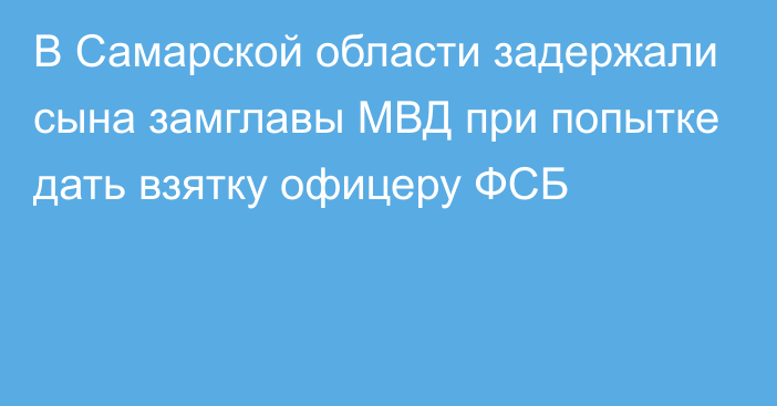 В Самарской области задержали сына замглавы МВД при попытке дать взятку офицеру ФСБ
