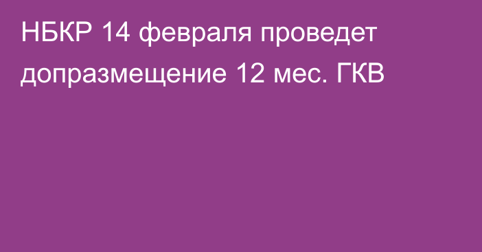 НБКР 14 февраля проведет допразмещение 12 мес. ГКВ