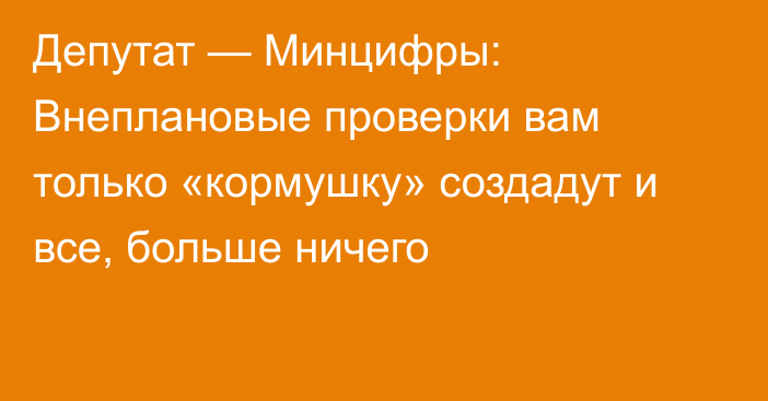 Депутат — Минцифры: Внеплановые проверки вам только «кормушку» создадут и все, больше ничего