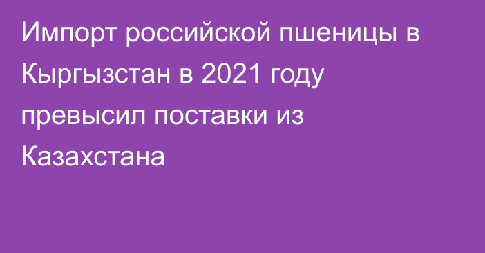 Импорт российской пшеницы в Кыргызстан в 2021 году превысил поставки из Казахстана