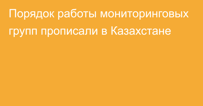 Порядок работы мониторинговых групп прописали в Казахстане