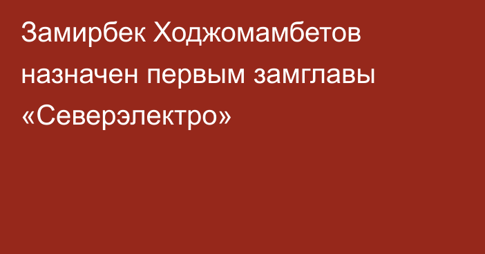 Замирбек Ходжомамбетов назначен первым замглавы «Северэлектро»