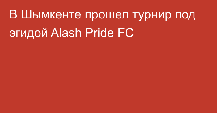 В Шымкенте прошел турнир под эгидой Alash Pride FC