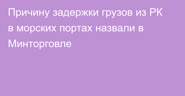 Причину задержки грузов из РК в морских портах назвали в Минторговле