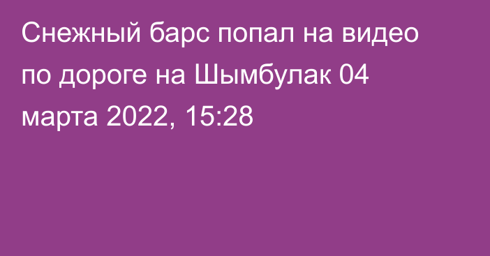 Снежный барс попал на видео по дороге на Шымбулак
                04 марта 2022, 15:28