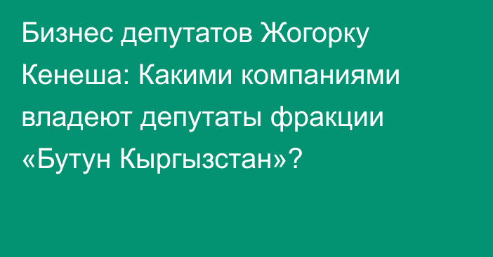 Бизнес депутатов Жогорку Кенеша: Какими компаниями владеют депутаты фракции «Бутун Кыргызстан»?