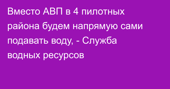 Вместо АВП в 4 пилотных района будем напрямую сами подавать воду, - Служба водных ресурсов