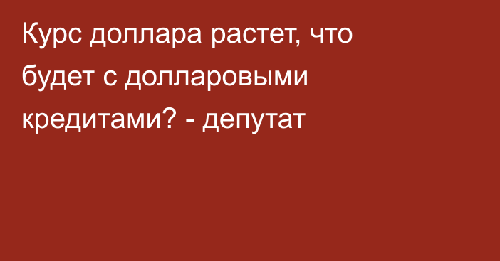 Курс доллара растет, что будет с долларовыми кредитами? - депутат