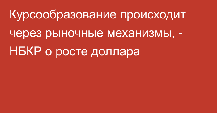 Курсообразование происходит через рыночные механизмы, - НБКР о росте доллара