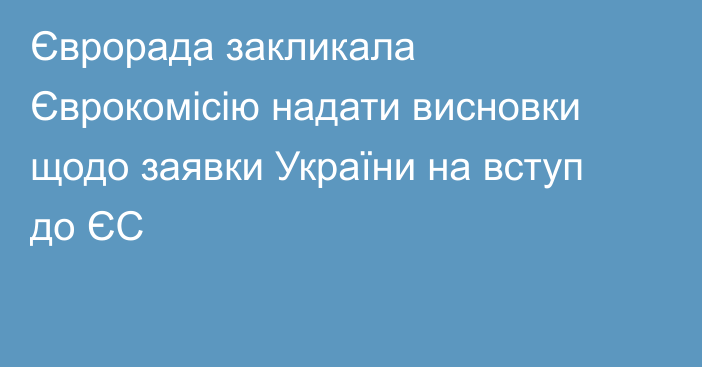 Єврорада закликала Єврокомісію надати висновки щодо заявки України на вступ до ЄС