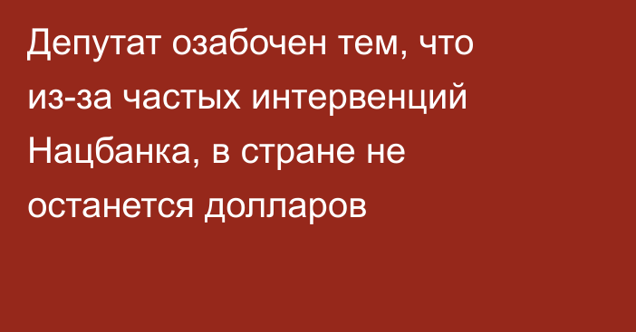 Депутат озабочен тем, что из-за частых интервенций Нацбанка, в стране не останется долларов