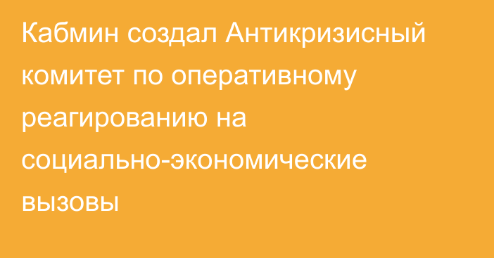 Кабмин создал Антикризисный комитет по оперативному реагированию на социально-экономические вызовы