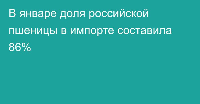 В январе доля российской пшеницы в импорте составила 86%