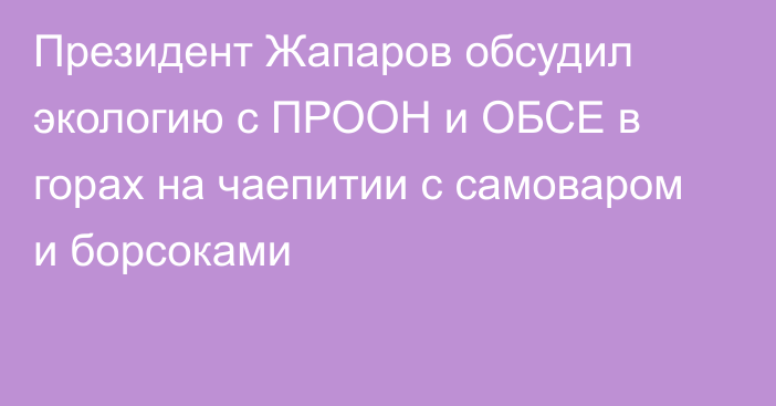 Президент Жапаров обсудил экологию с ПРООН и ОБСЕ в горах на чаепитии с самоваром и борсоками