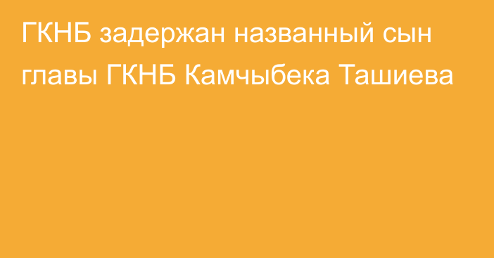 ГКНБ задержан названный сын главы ГКНБ Камчыбека Ташиева