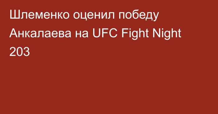Шлеменко оценил победу Анкалаева на  UFC Fight Night 203