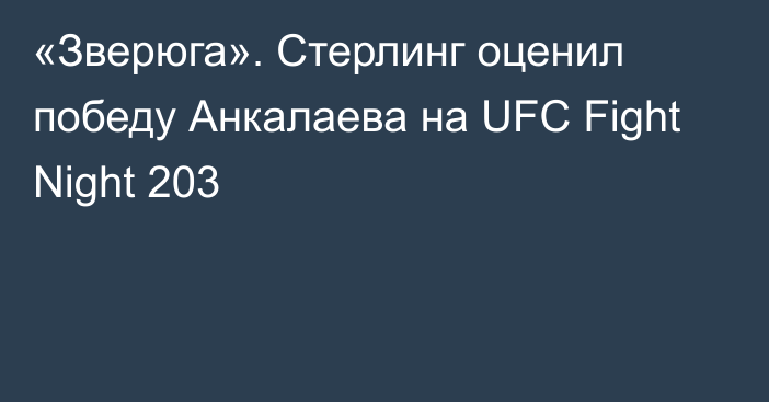 «Зверюга». Стерлинг оценил победу Анкалаева на UFC Fight Night 203