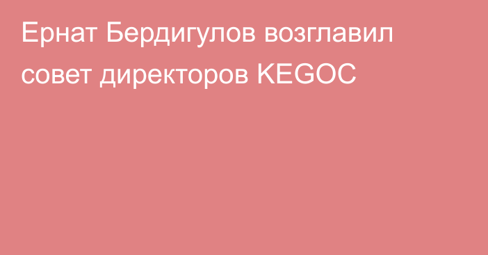 Ернат Бердигулов возглавил совет директоров KEGOC