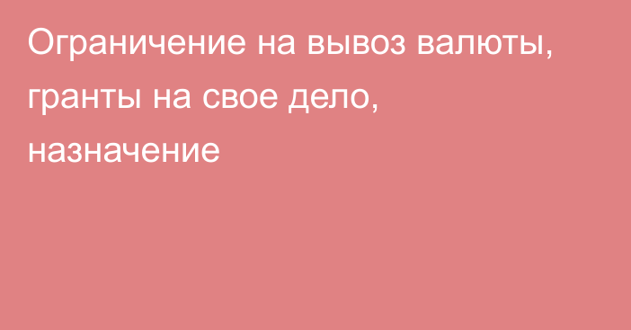 Ограничение на вывоз валюты, гранты на свое дело, назначение