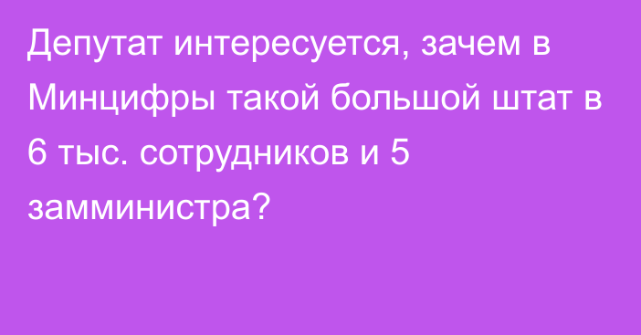 Депутат интересуется, зачем в Минцифры такой большой штат в 6 тыс. сотрудников и 5 замминистра?