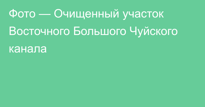 Фото — Очищенный участок Восточного Большого Чуйского канала