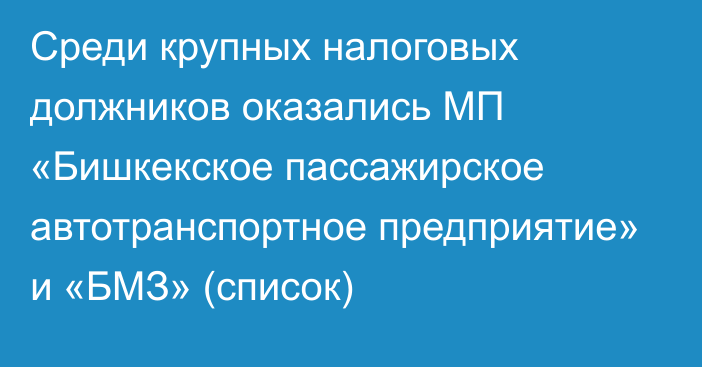 Среди крупных налоговых должников оказались МП «Бишкекское пассажирское автотранспортное предприятие» и «БМЗ» (список)