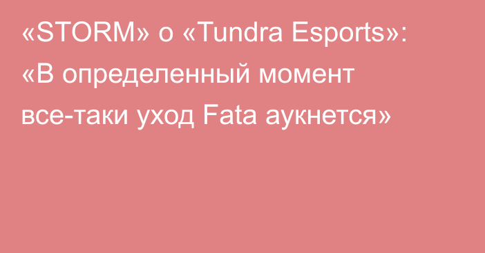 «STORM» о «Tundra Esports»: «В определенный момент все-таки уход Fata аукнется»