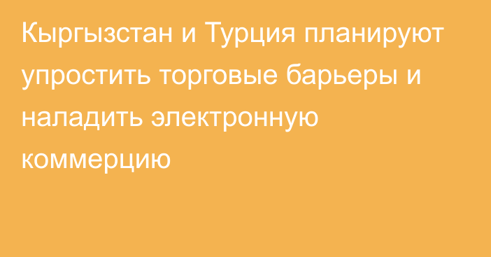 Кыргызстан и Турция планируют упростить торговые барьеры и наладить электронную коммерцию