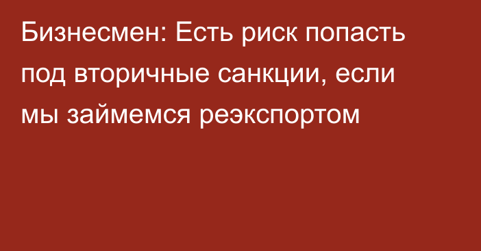 Бизнесмен: Есть риск попасть под вторичные санкции, если мы займемся реэкспортом